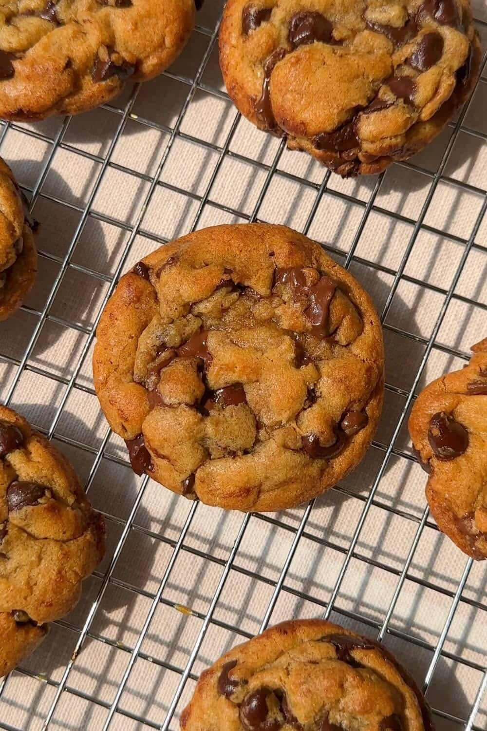 Chocolate chip cookies